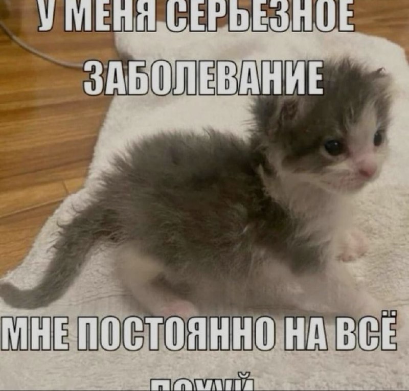 Ночная подборочка
Спать, режим