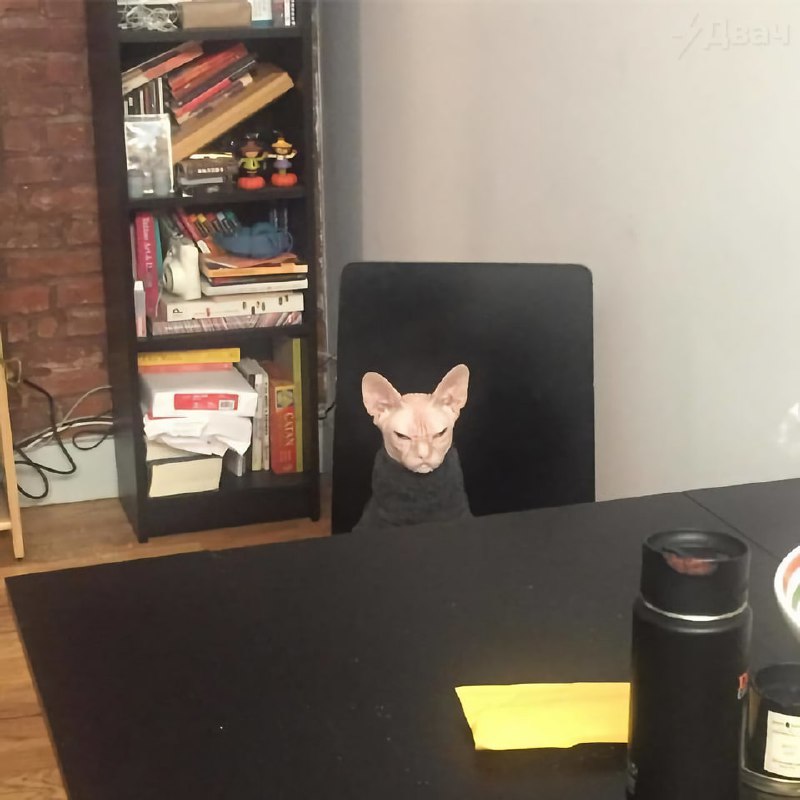 Сегодня отмечается День ворчуна
Буквально твой день