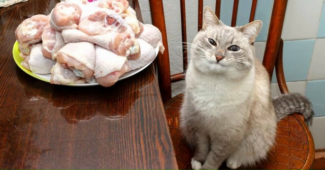 Цель поставлена, остальное - вопрос времени😂