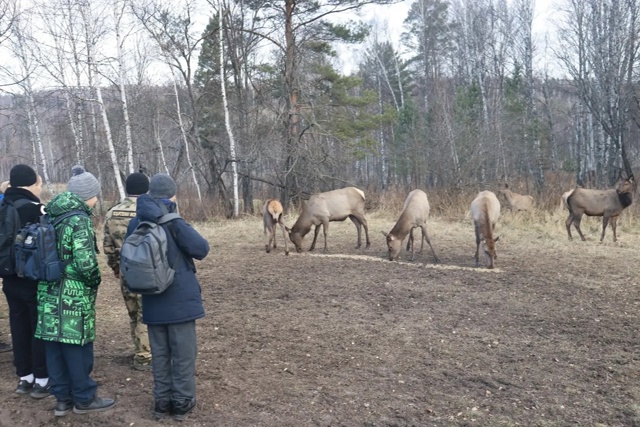 Ученики восьмого класса МБОУ Балахтинской СОШ 2 в сопр?...