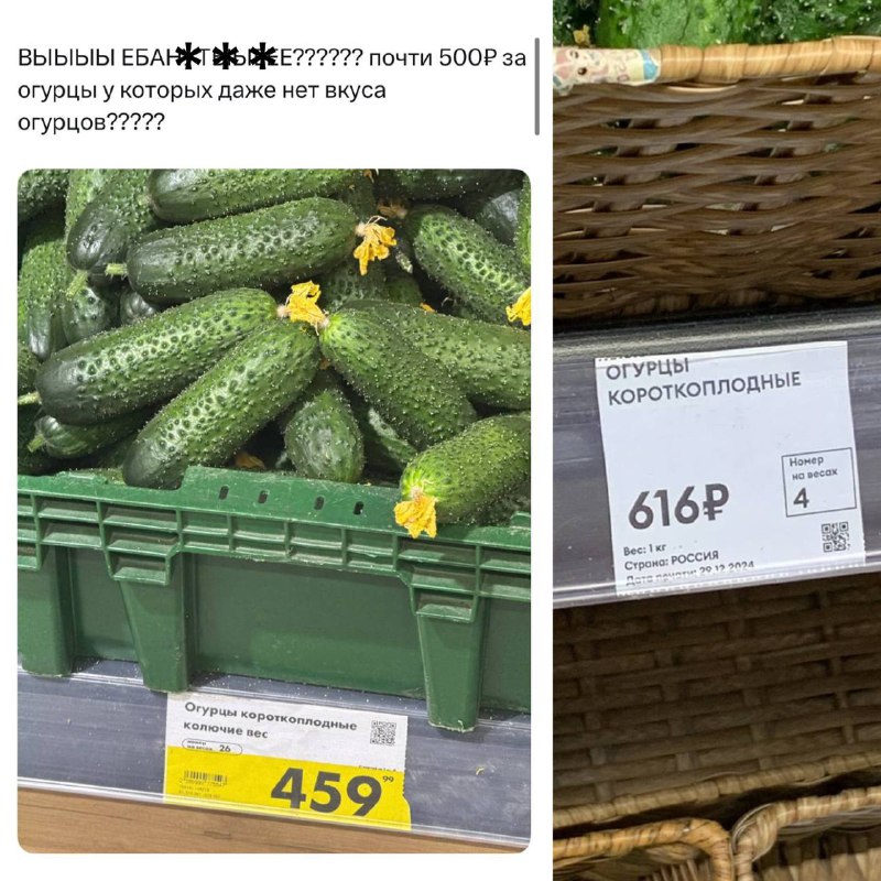 🥒 Огурцы в России стали стоить дороже мяса
По статистике, средняя цена свинины — 376,75 ₽ за кг, к