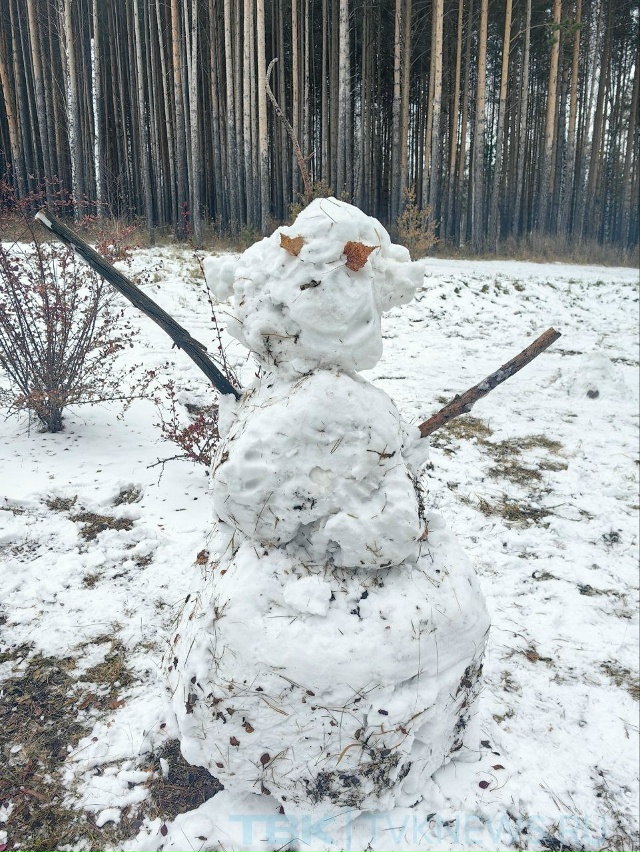 ☃️Парад снеговиков .
В эти дни снег такой липкий, поэ?...