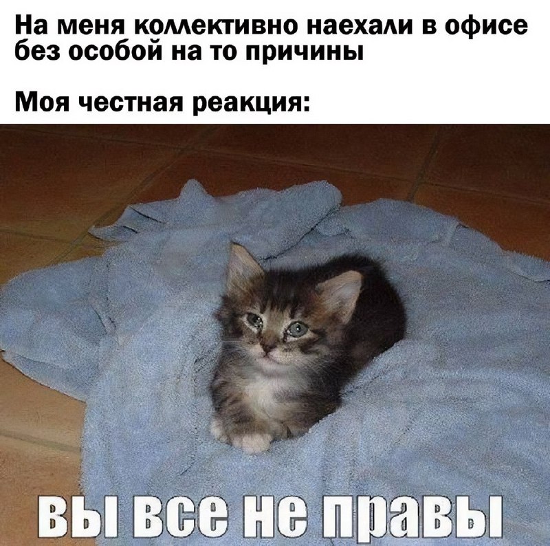 Утренняя подборочка