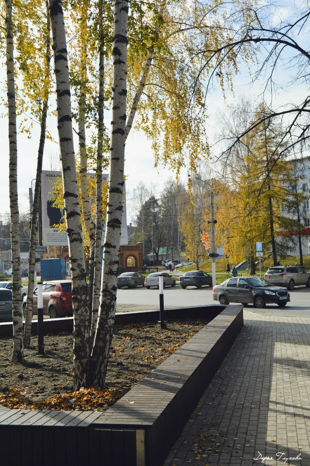 Задумка хорошая. Лавочки будут использовать по прямом?...