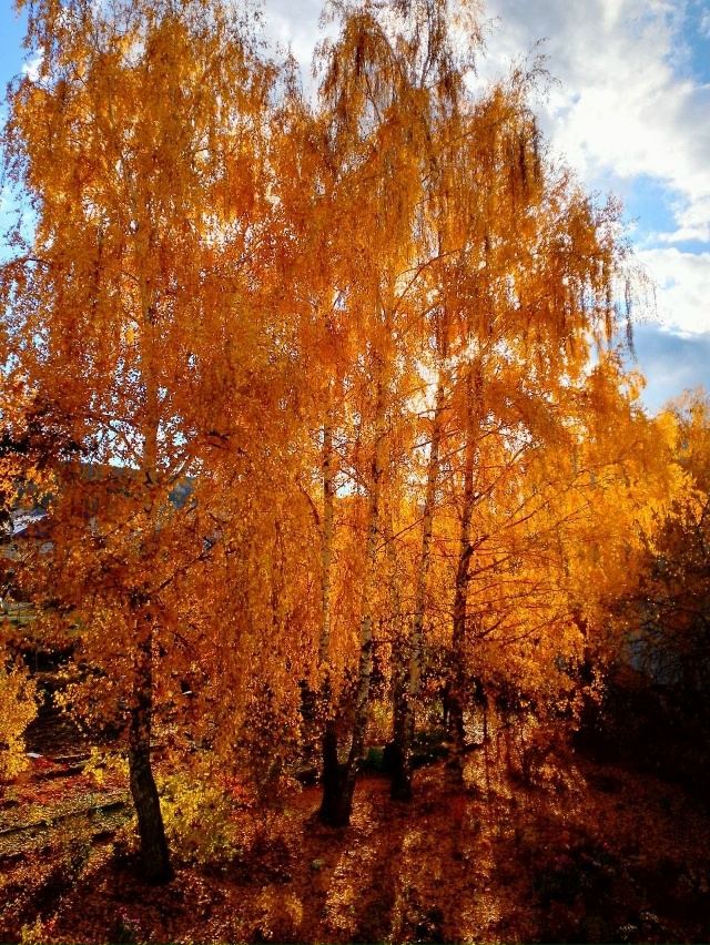 Очарование Жигулевска 😍