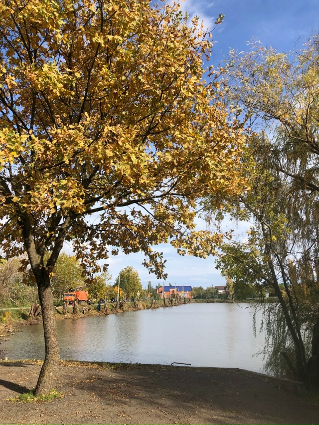 Поехали сегодня полюбоваться красивым озером. Там так ...