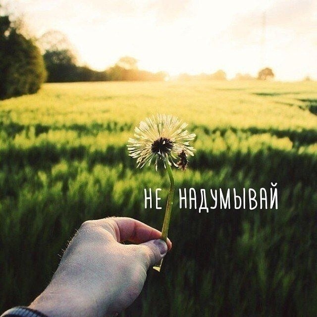 Беpеги сeбя.