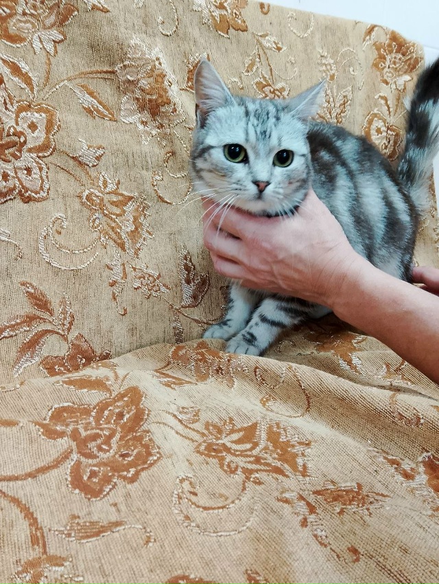 В дотрые руки,стерильна
89308413854