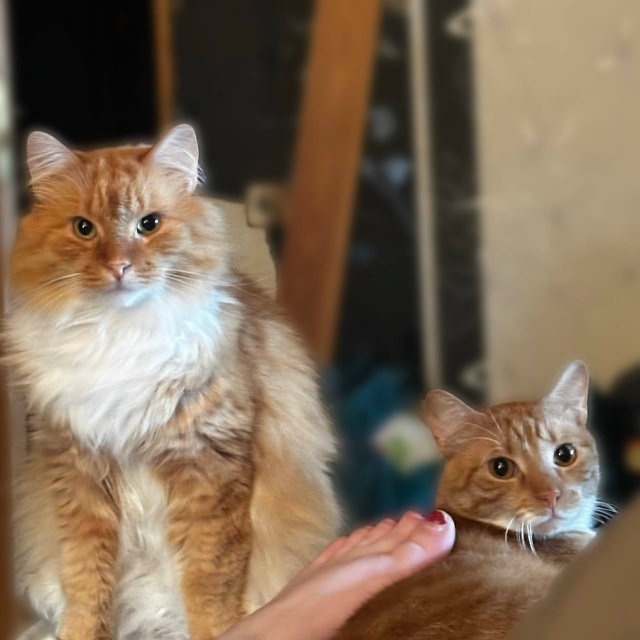 Валера с Бубиком осуждают меня за то что я сегодня любл...