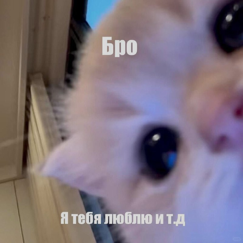 Ночная подборочка
Выходные, не спим