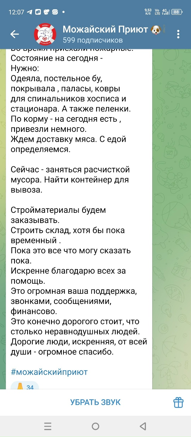 SOS !!! Вчера поздно вечером горел Можайский приют. Сгоре?...
