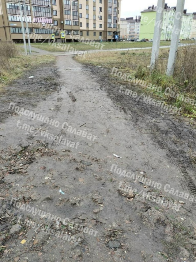 «Каждый год одно и тоже, выезжают на пешеходный перехо?...