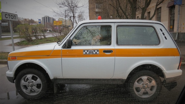 🚕Эксперты: 8 из 10 самых популярных машин в такси не про...