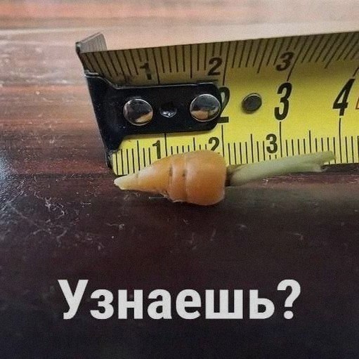 Ночная подборочка
Спать, режим