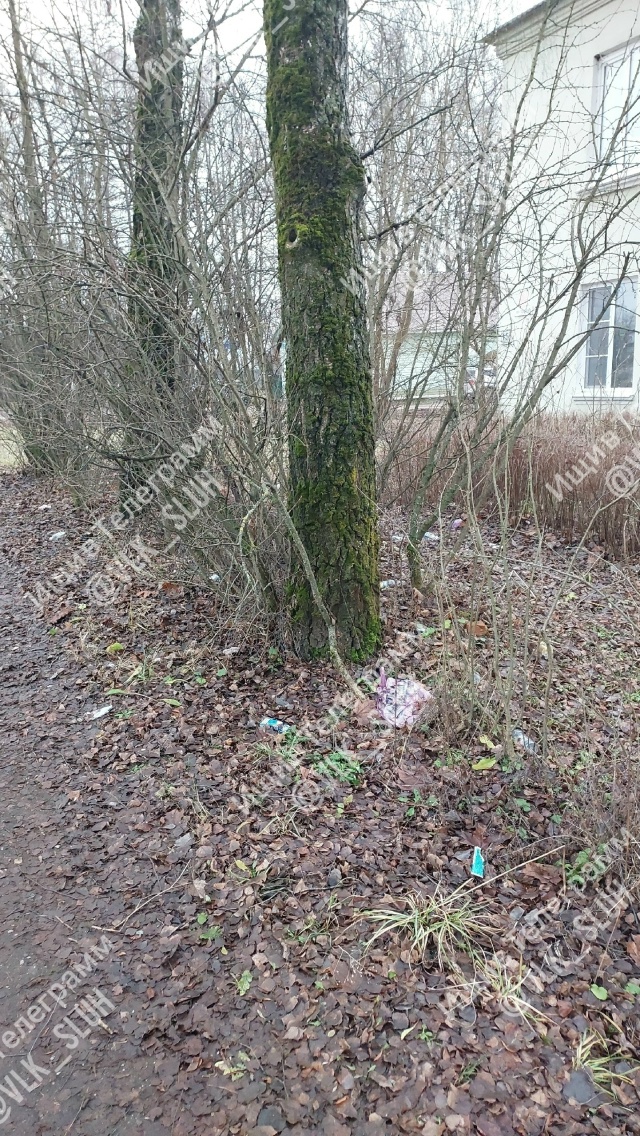 Уважаемая администрация!
Прошу обратить Ваше внимание...