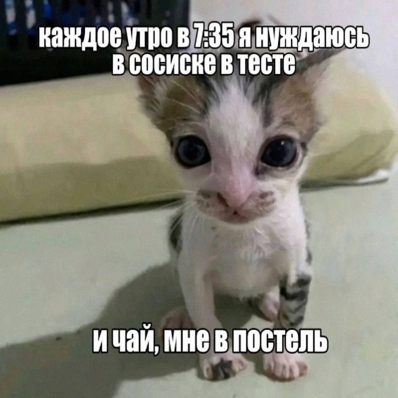 Утренняя подборочка