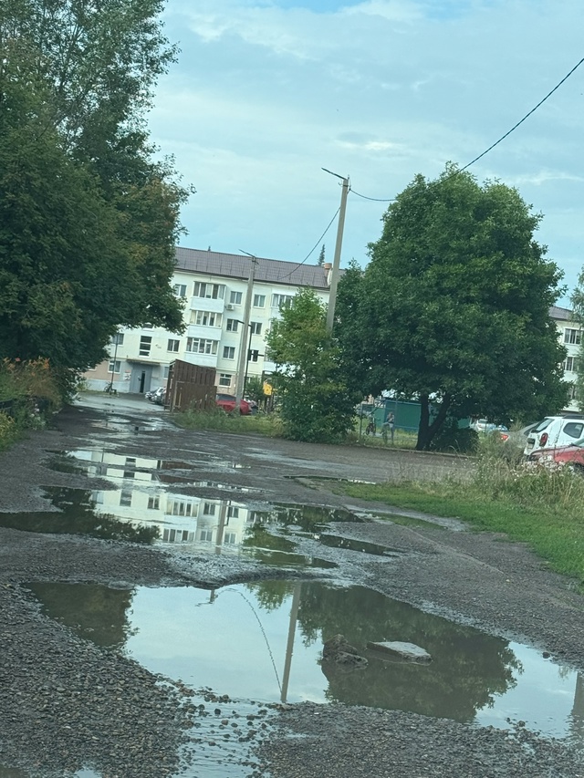 Сделайте нормальную дорогу возле общежития Педколлед?...