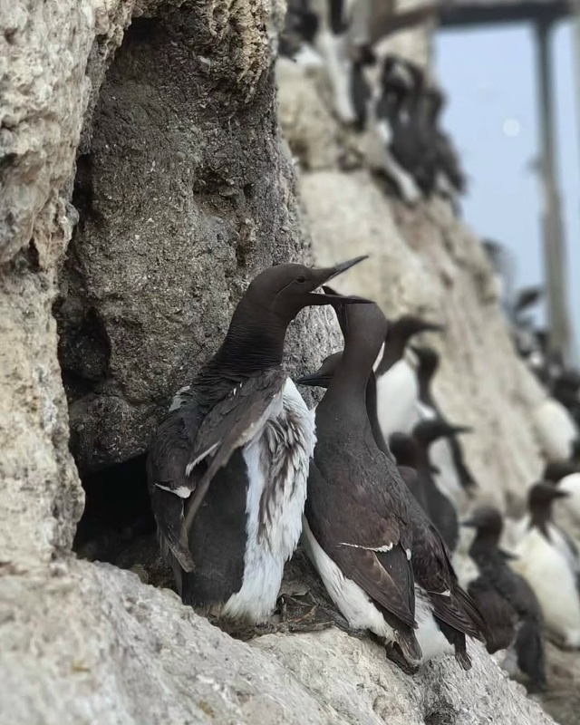 Остров Сахалин 🇷🇺