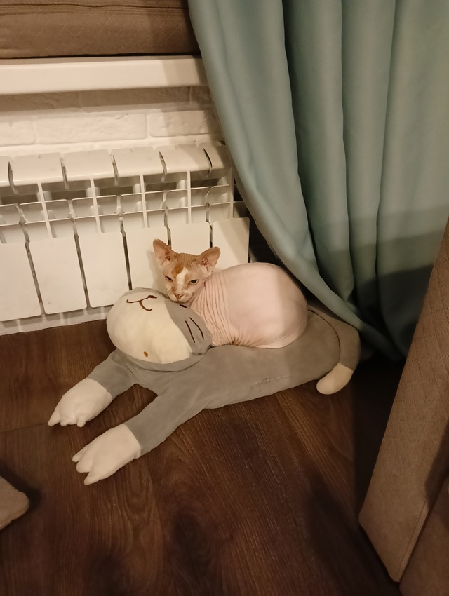 Это мой сын, Оливер
Он немного глупенький, но очень лас...