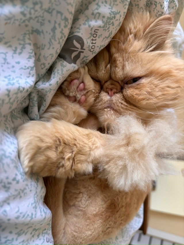 Доброе утро☀