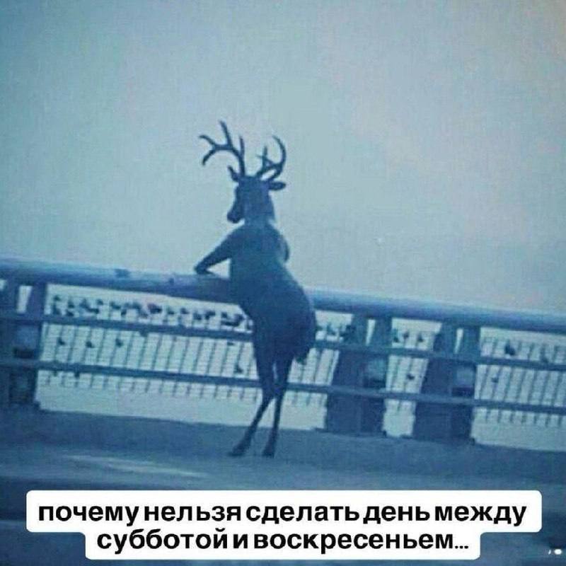 Утренняя подборочка