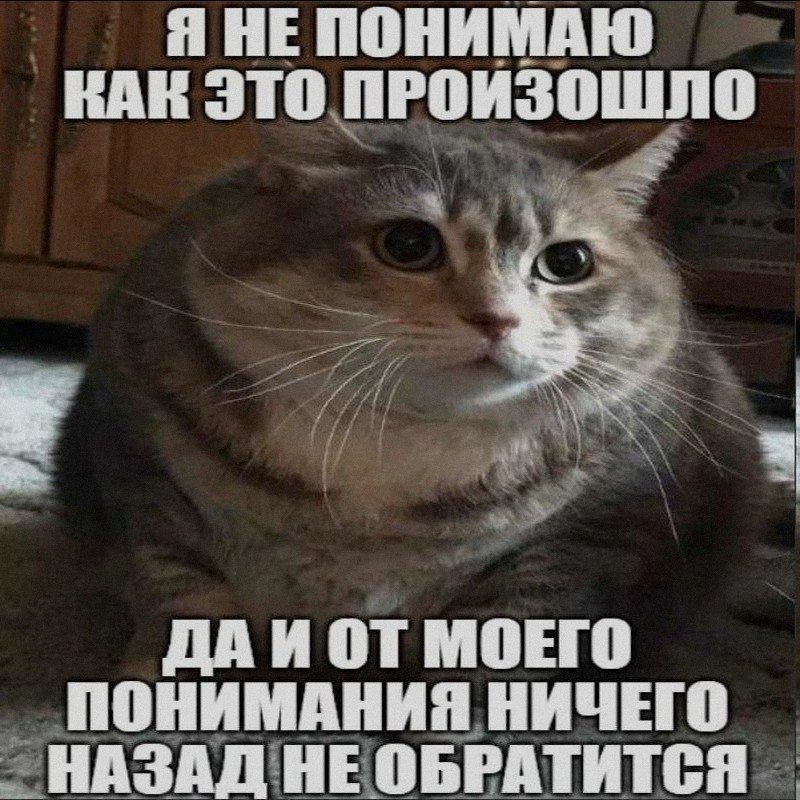 Ночная подборочка
Спать, режим