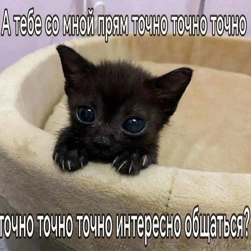 Утренняя подборочка