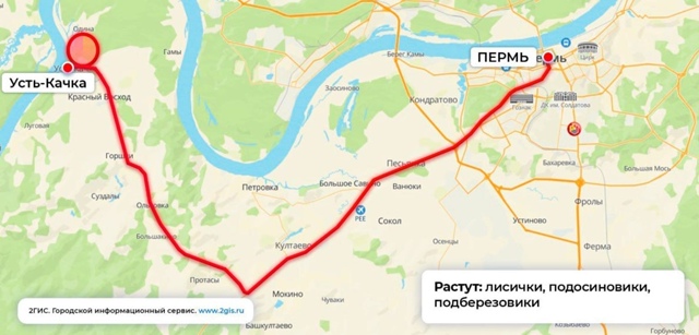 📍Грибные точки рядом с Пермью (~50км)
Хотите грибов, но ...