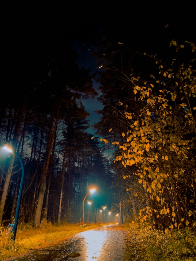 Всем спокойной ночи 😴🌙