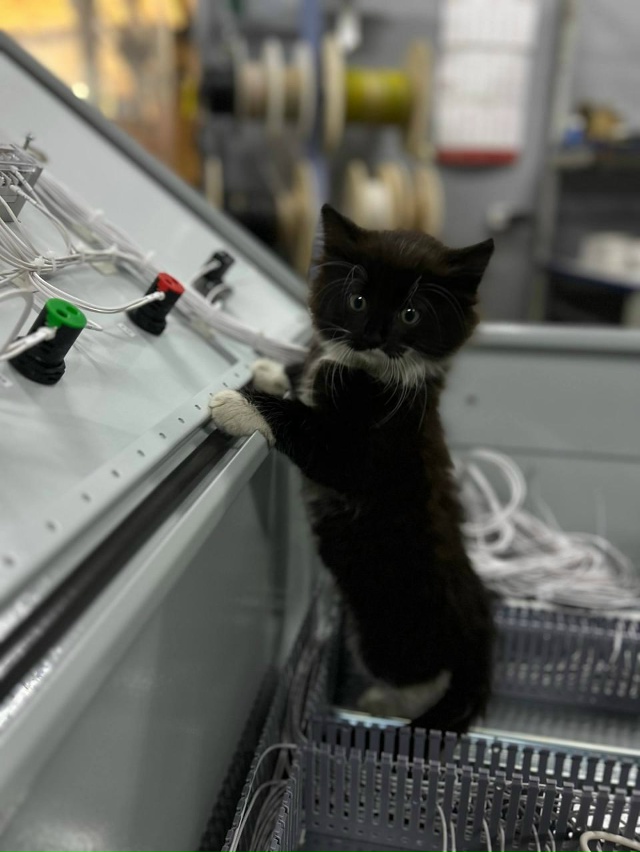 На атомной станции работяги недоверчиво шепчутся, дес?...