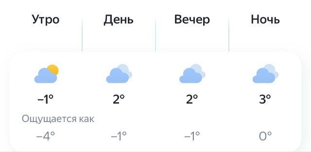 ‼️Погода Брянск сегодня