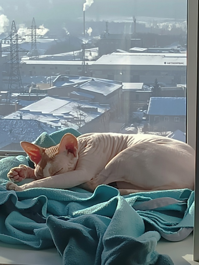 Это мой сын, Оливер
Он немного глупенький, но очень лас...