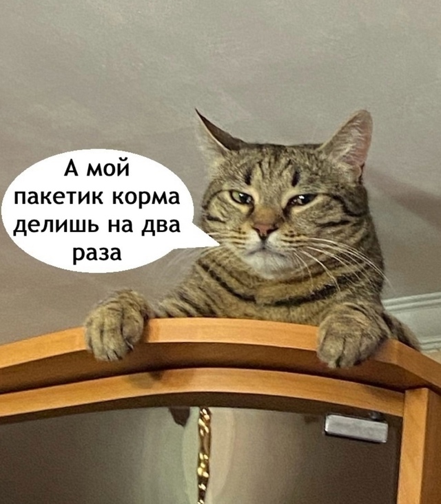 Нет в этом мире справедливости
