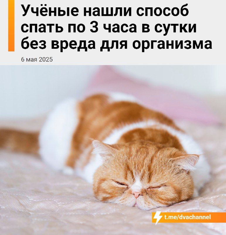 Страдающие недосыпом, внимание
Учёные выявили мутацию в гене GRM1, благодаря которой некоторые люди