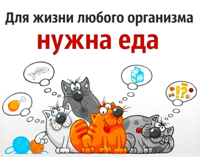 Друзья!
Мы снова к вам с просьбой помочь нам собрать де...