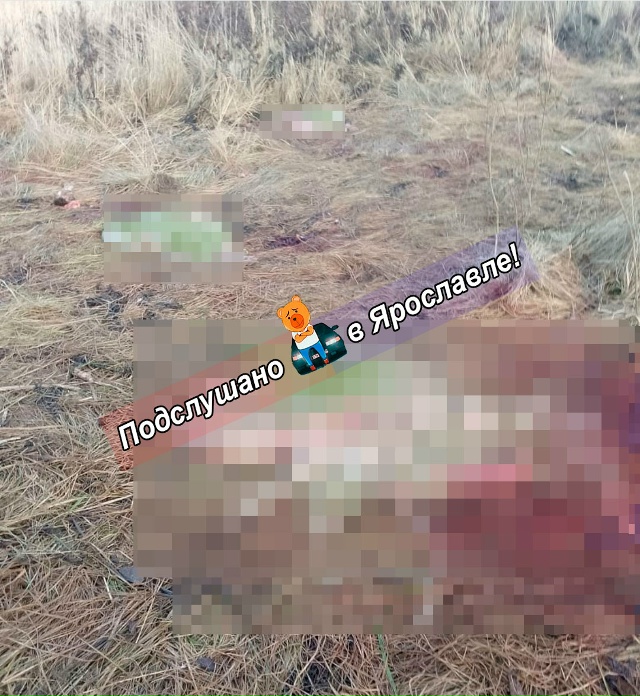 Подписчица ругается:
