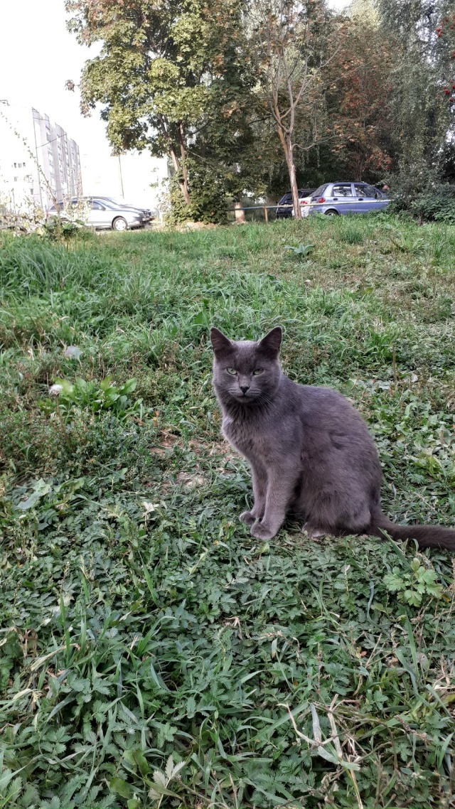 Может кто ищет?