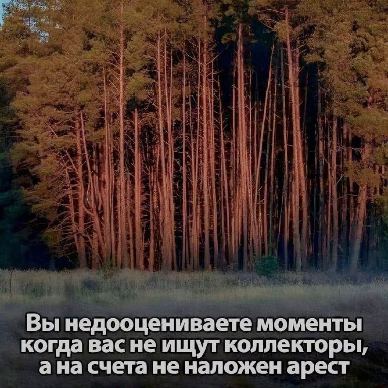 Ночная подборочка
Выходные, не спим