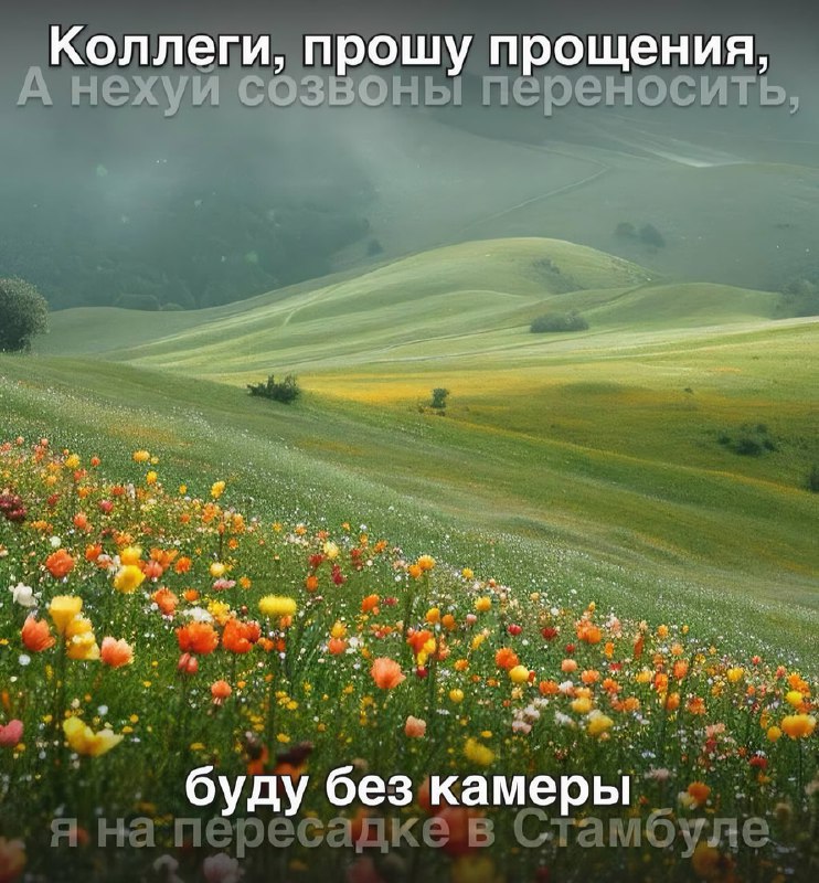 В Сети объяснили, что на самом деле означают стандартные фразы на рабочих созвонах
Какой ты сегодня
