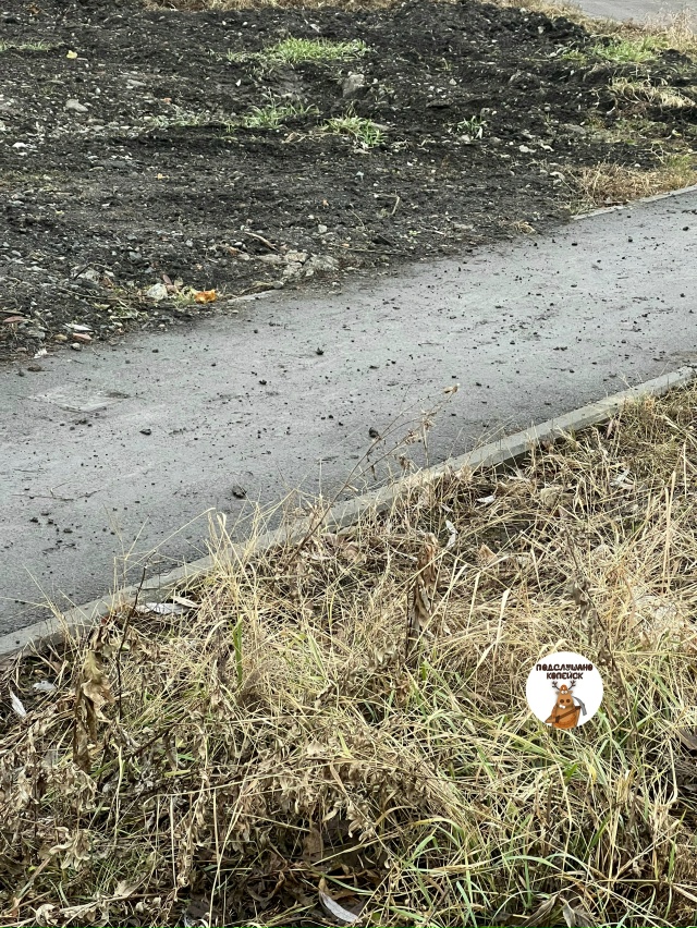 ❗Неоднократно родители и заведующая Детским садом №51...