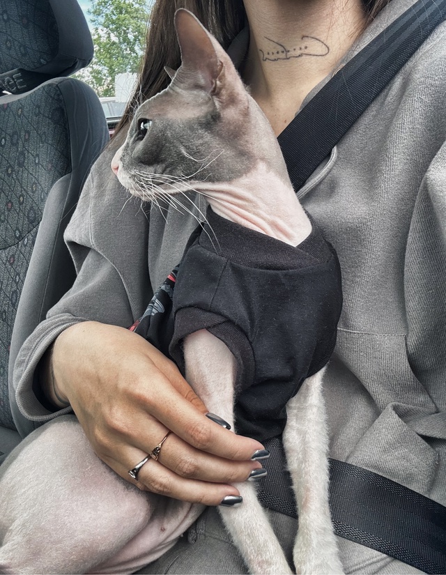 Первая летняя поездка в этом году ?
Стич абсолютно сп...