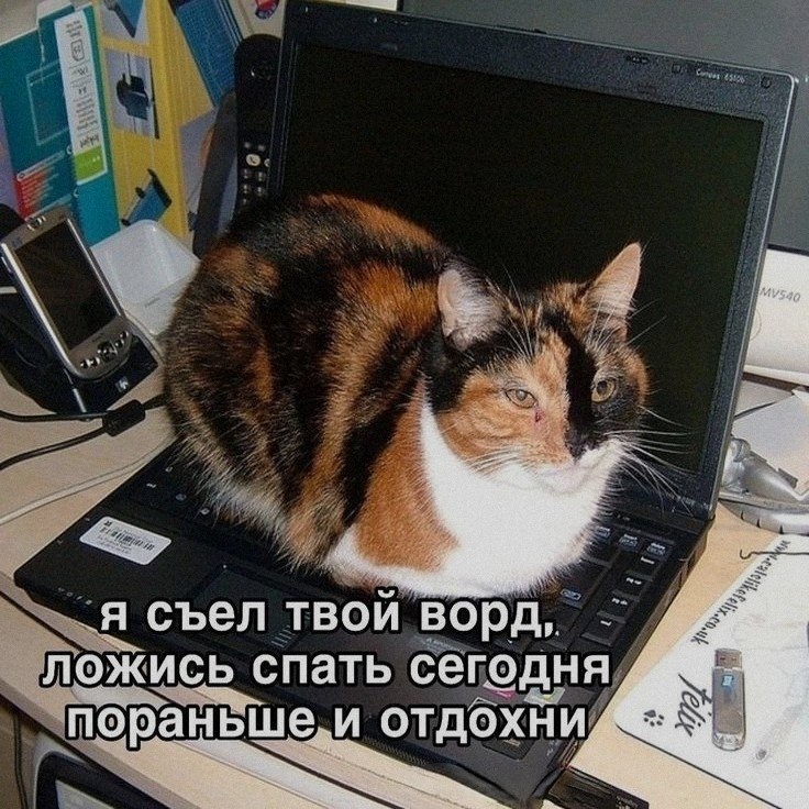 Ночная подборочка
Спать, режим