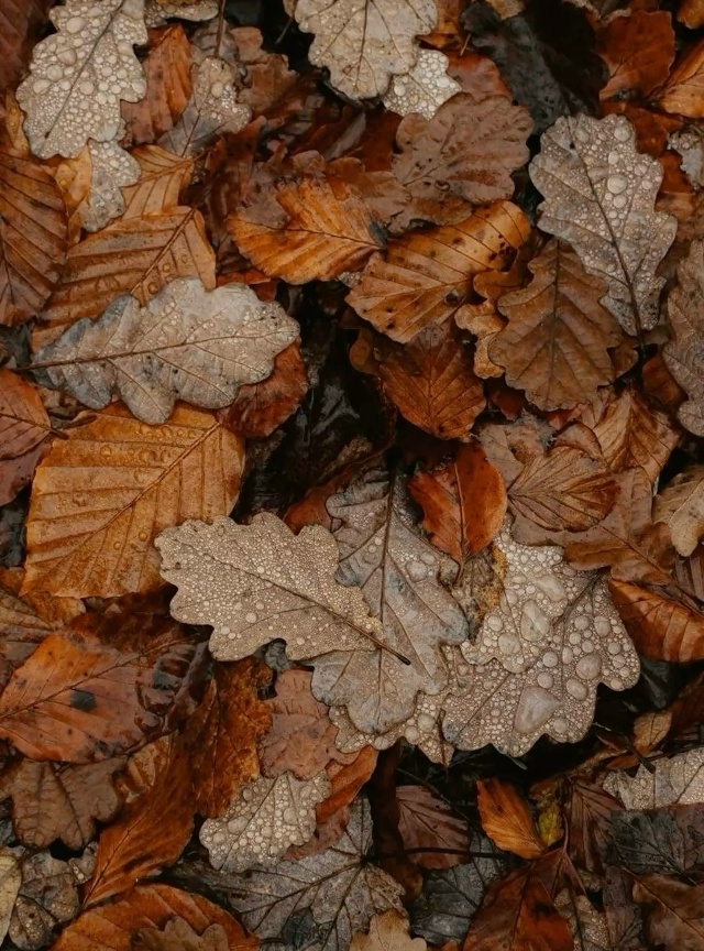 Наступили холода,
С неба капает вода,
С неба капает во?...
