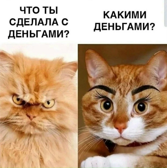 Буквально каждый раз: