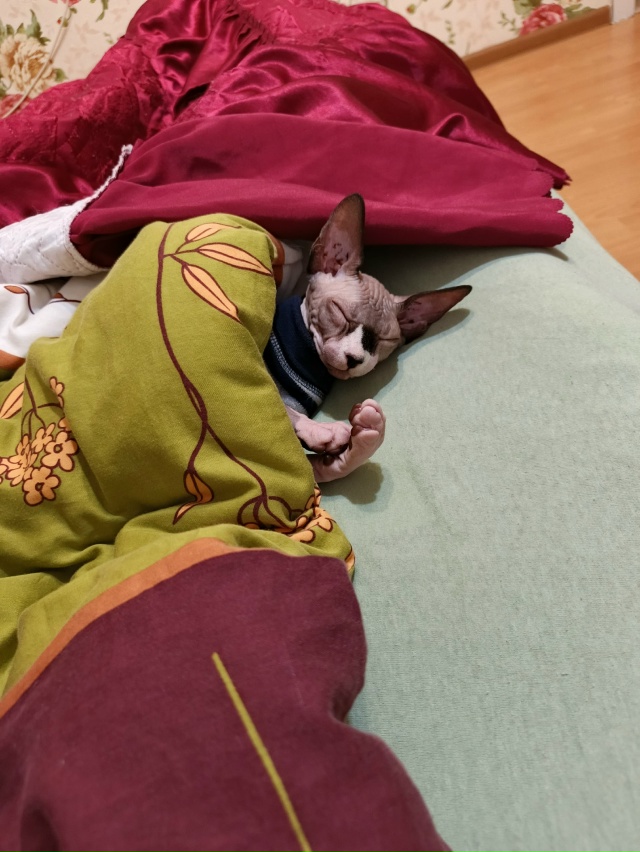 Ириска наслаждается