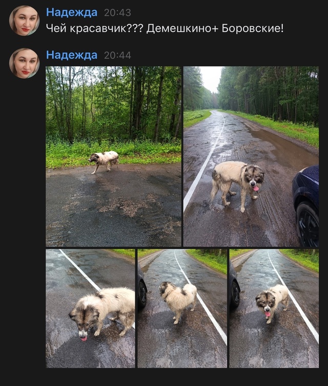 Чей малыш ??❤️