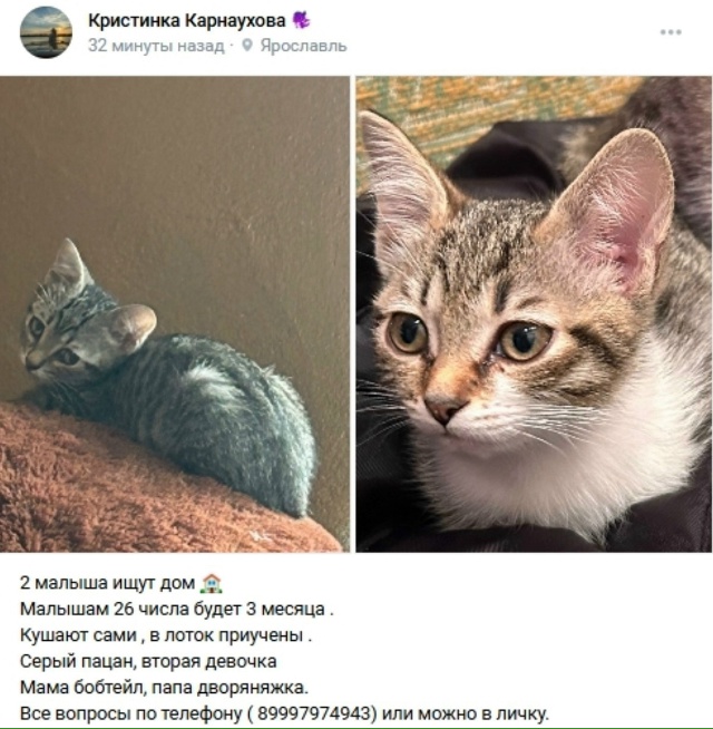 Пост добра. Распространите, пожалуйста.