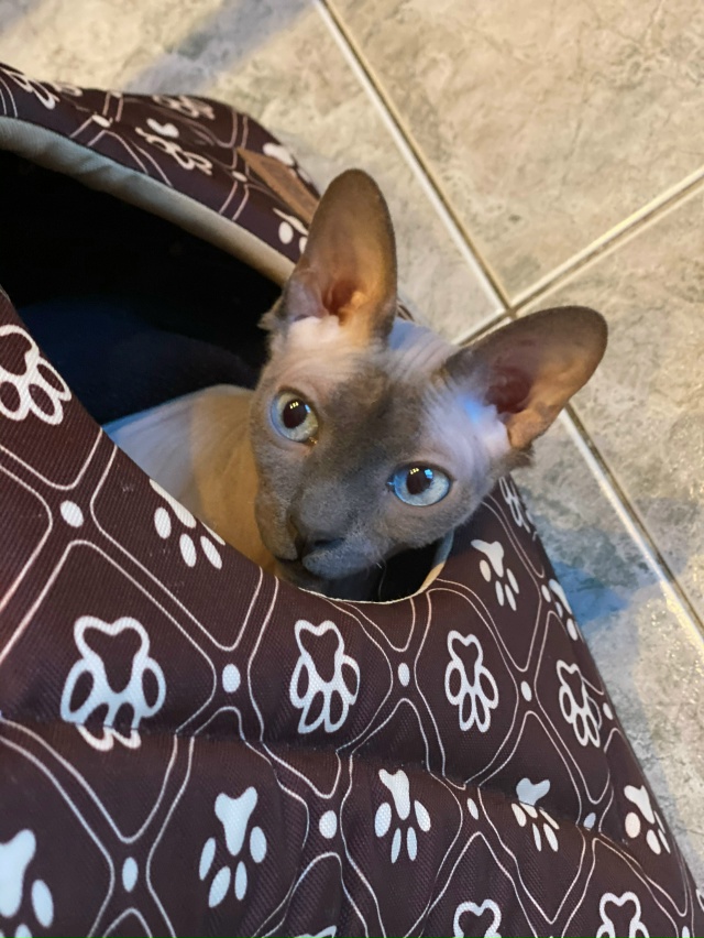 Бесик 🥰😸🥰