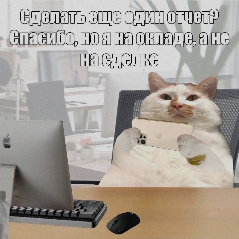 Ночная подборочка
Спать, режим
