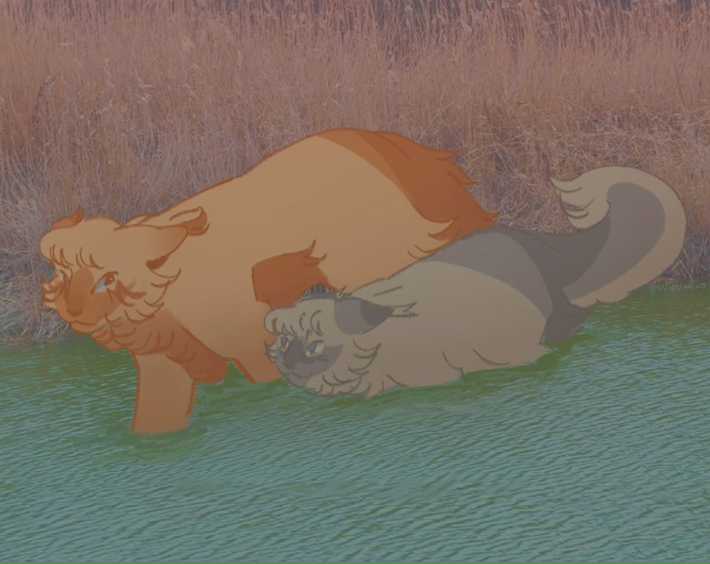 «Пойдем рыбачить с мамой»
Завиток и Ледолапка
© halfjay
#...